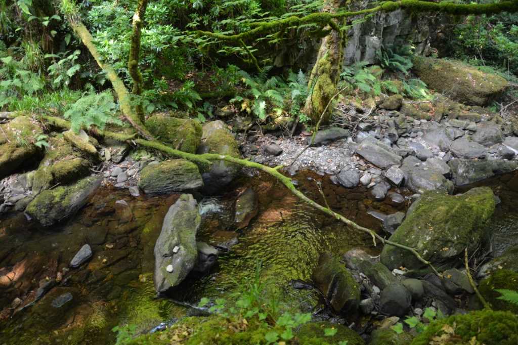 DSC_5176Mittel_.JPG